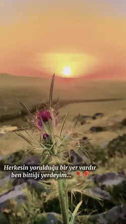 duygusal şablon 