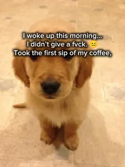 cute dog