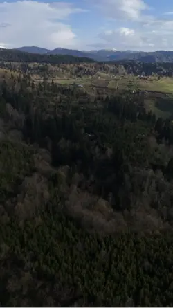Yayla