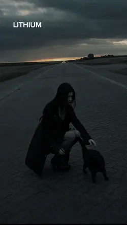 Evanescence-Lithium