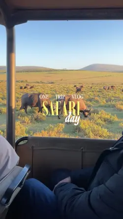 Safari day