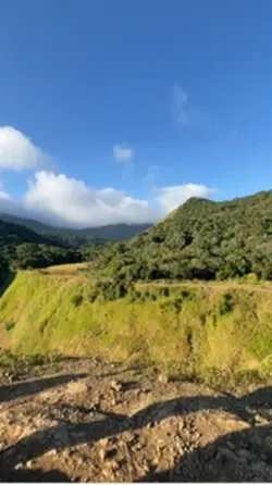 mountain is calling 