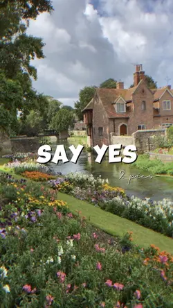 say yes