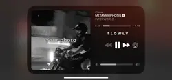 Metamorphosis