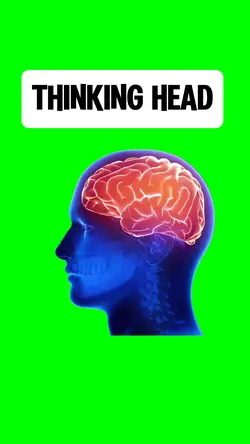 THINKING HEAD