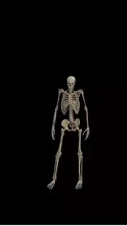Dancing skeleton