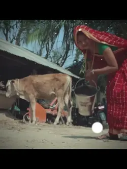 New year THARU Song 