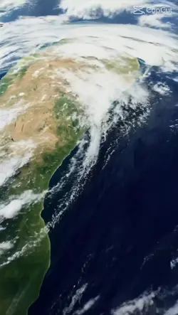 Trend şablon