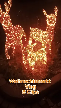 Vlog Weihnachtsmarkt