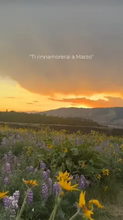 innamorerai a Marzo