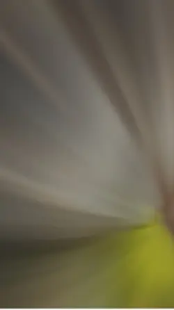 hai ảnh 