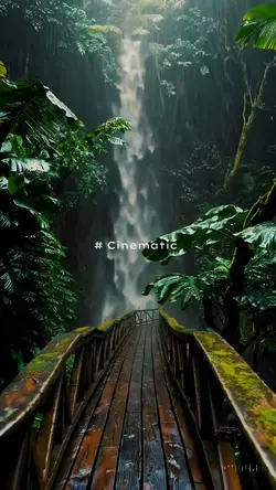 Cinematic 