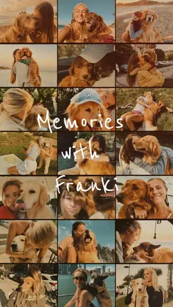 Memories with pet