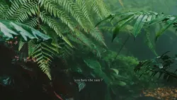 Rain