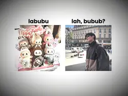 lucu