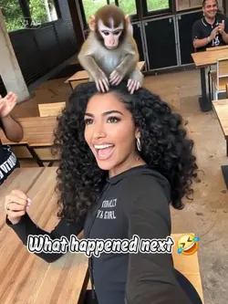 what happened next