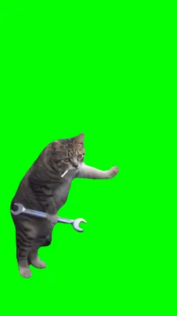 FUNNY CAT STANDING