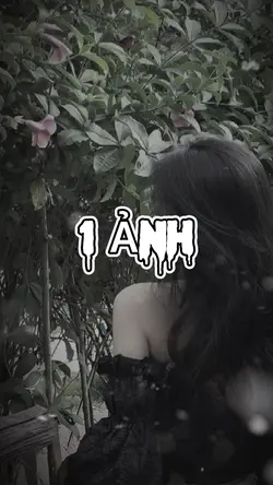 Trình chiếu
