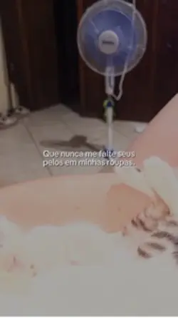 Meu pequeno mundinho