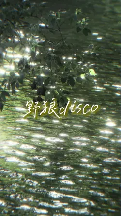 野狼disco.