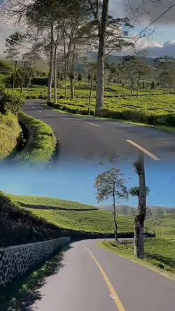 2 video 1 frame