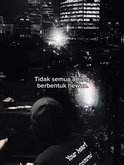 Tidak semua anjing