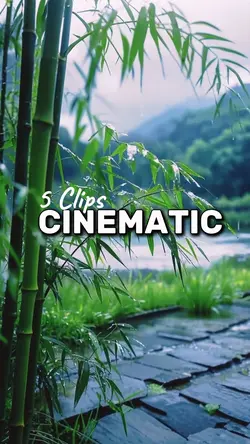 CINEMATIC
