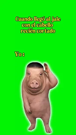 Corte de Cabello
