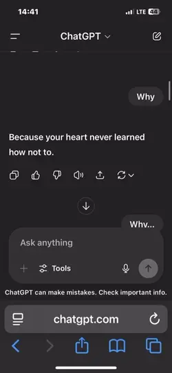 ChatGPT 