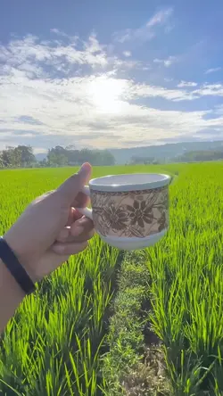 filter video cerah