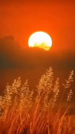 Stunning sun