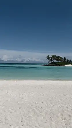 mini vlog