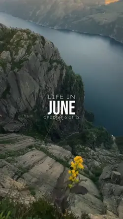 Life in June