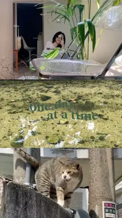 vlog aesthetic 