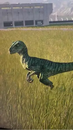 Dino>>>