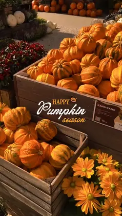 Happy pumpkin season