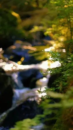 nature vibes