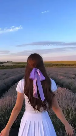 5 video