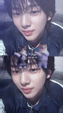 NOMIRR KUCING JOGET
