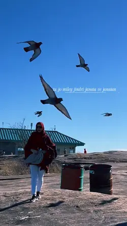 Mainu hoya pyar 🕊️