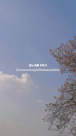 NotSpringLoveor..แปล