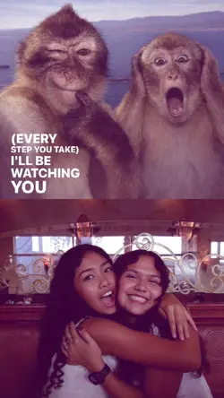 friendship / couple