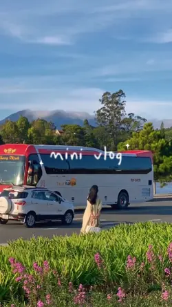 mini vlog