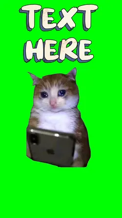 Sad Cat with Phone