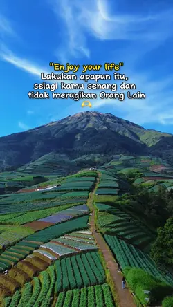 enjoy your live
