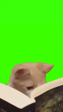 kucing baca buku