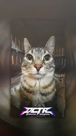 Karena kamu cantik2