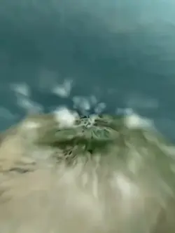 earth zoom trend