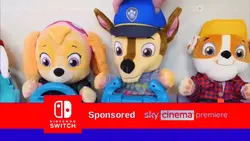 Nintendo Switch Sky 