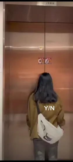 BTS édit